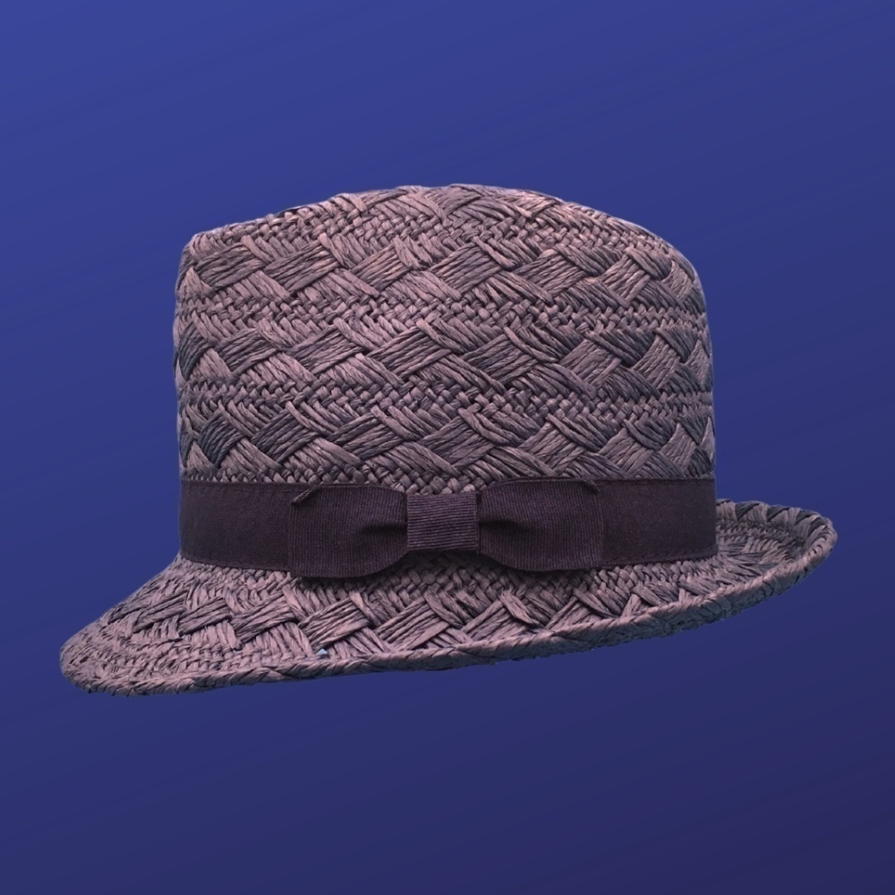 Target Women’s FEDORA 100% Straw Hat, BLUE/DARK BLUE, One Size, NWOT
